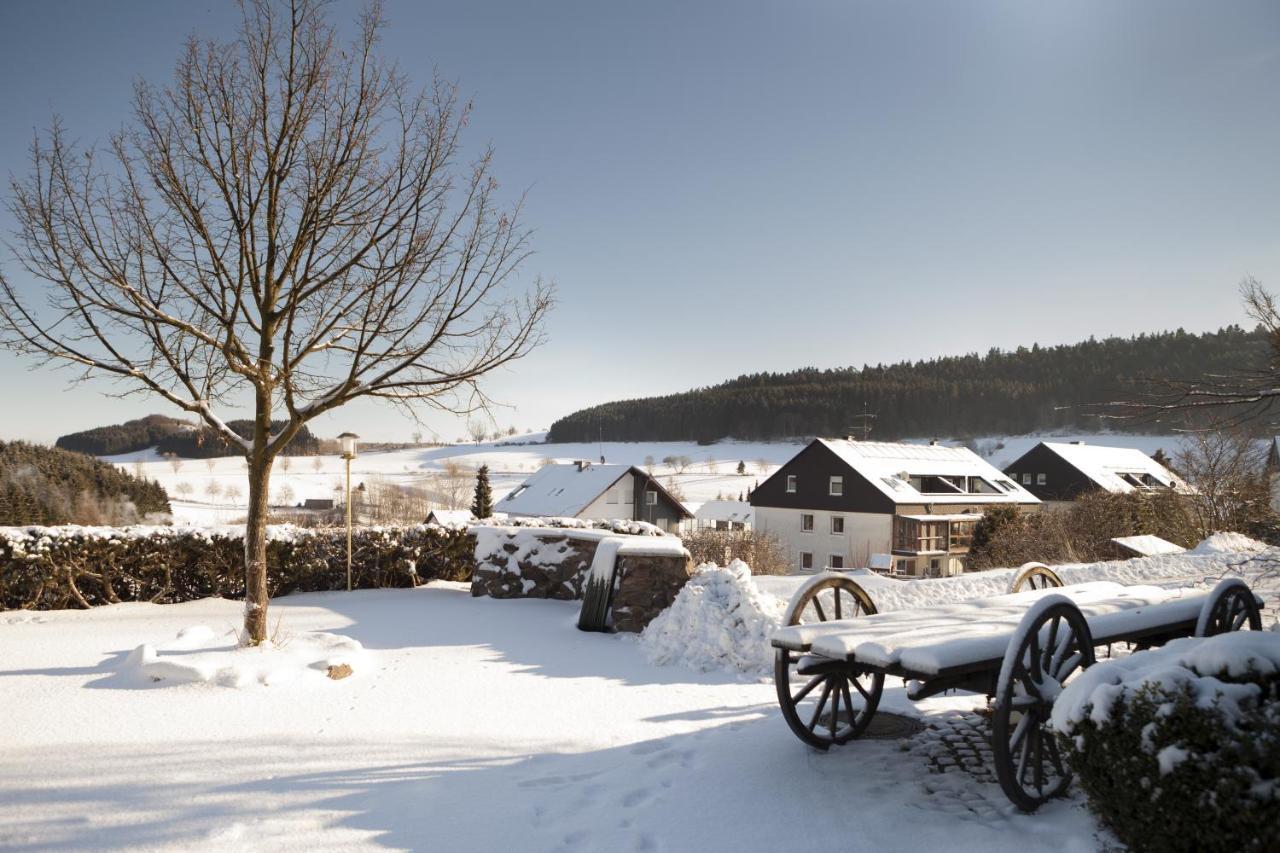H+ Hotel Willingen Виллинген Экстерьер фото